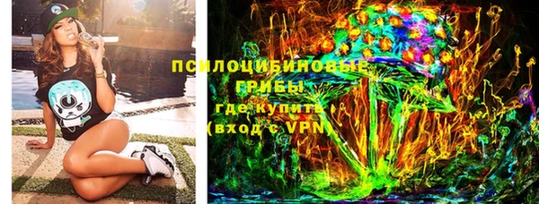ешки Мегион