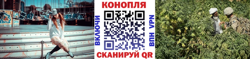 Бошки Шишки Amnesia Екатеринбург