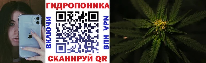 Купить  Екатеринбург  Бошки Шишки White Widow 